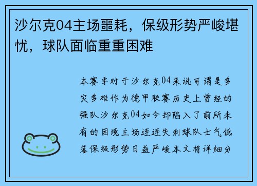 沙尔克04主场噩耗，保级形势严峻堪忧，球队面临重重困难